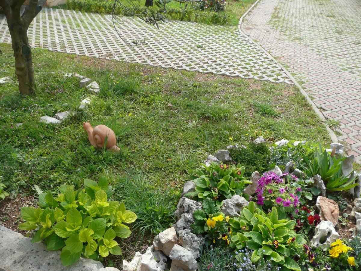 Villa Niceta 扎达尔 外观 照片